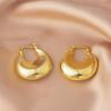 18K Gold-Plated Irregular Oval Metal Texture Women's Earrings