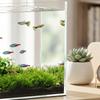 Fish Tank Bare Glass for DIY Glass Aquarium with Protective Base Mat 43L Transparent for Fish Shrimps