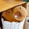 Kapibala Doll Spit Bubble Capybara Plush Toy Doll Ugly Cute Children's Doll Gift
