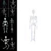 Halloween Scary Prop Luminous Hanging Human Skeleton Outdoor Party Decoration