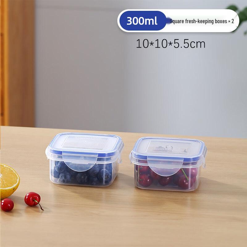 ZISIZ Small Food Storage Container