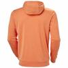 Helly Hansen Толстовка на молнии Lifa Tech Lite