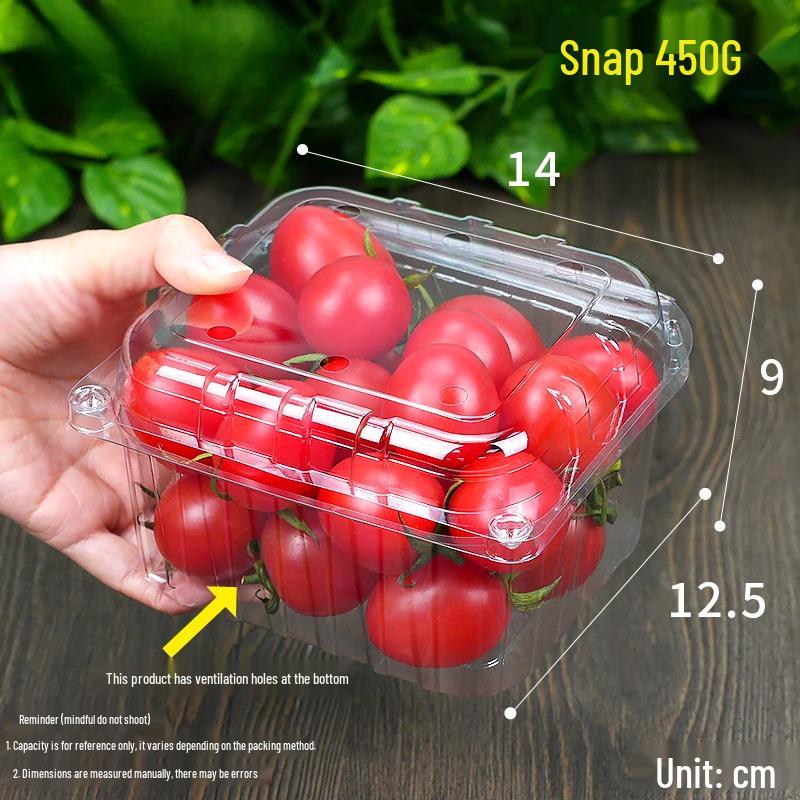 Shixun Disposable Plastic Fruit Containers