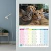 2026 Wall Calendar Funny Cats Wall Hanging Calendar Jan.2026 - Dec.2026 12-Month Planner for Home Office
