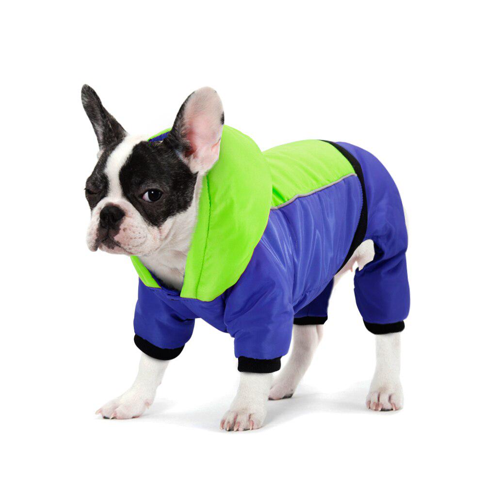frenchie dog coats