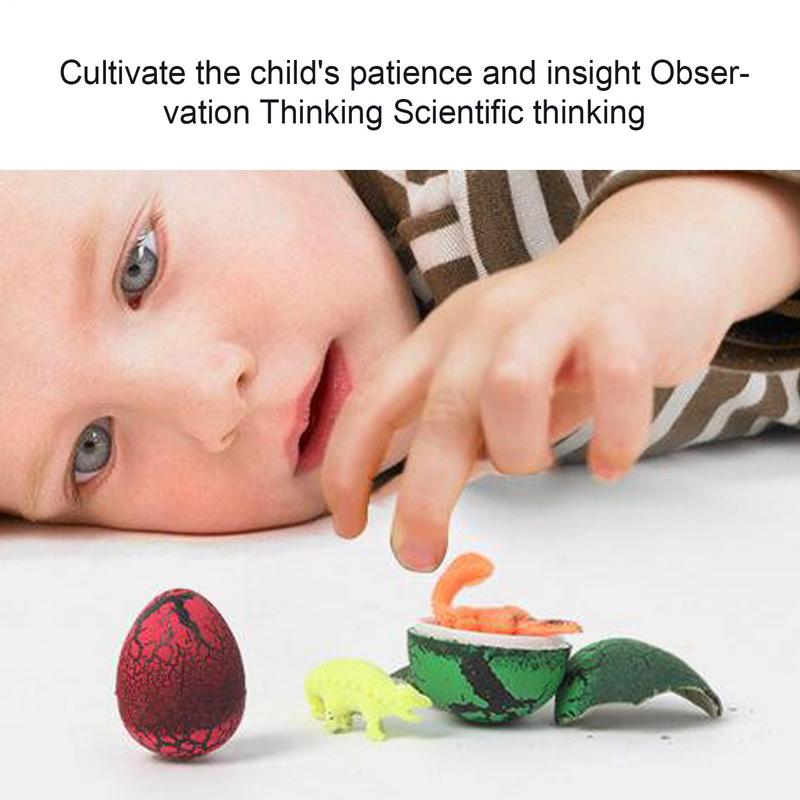 

Hatching Eggs For Kids Growing Dinosaur Eggs Expandable Animal Doll Interactive Educational Learning Play Set For Age 3-12 For China Mainland