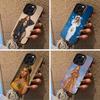 Pop diva-B-eyoncé Phone Case For iPhone 17,16,15,14,13,12,11 Plus Pro Max Colored Silver Phone Case