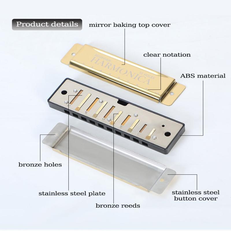 1PC Professional 10 Hole 20 Tone Harmonica Color C Tone Harmonicas With Case For Beginners Harmonica Christmas Gift