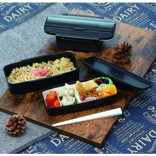 Skater Shokado 2 Tier Bento Box 900ml Made in Japan Modern Plus POW5S-A