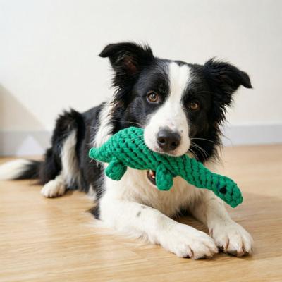 Dog Cotton Rope Toy Cute Dinosaur Shaped Dog Chew Toy for Aggressive Chewers Interactive Pet Training Toy for Small Medium Dogs