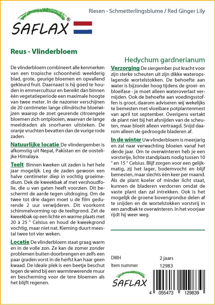 SAFLAX Gift Set - Red Ginger Lily - 10 Seeds - With Gift Box, Card, Label and Potting Substrate - Hedychum Gardnerianum