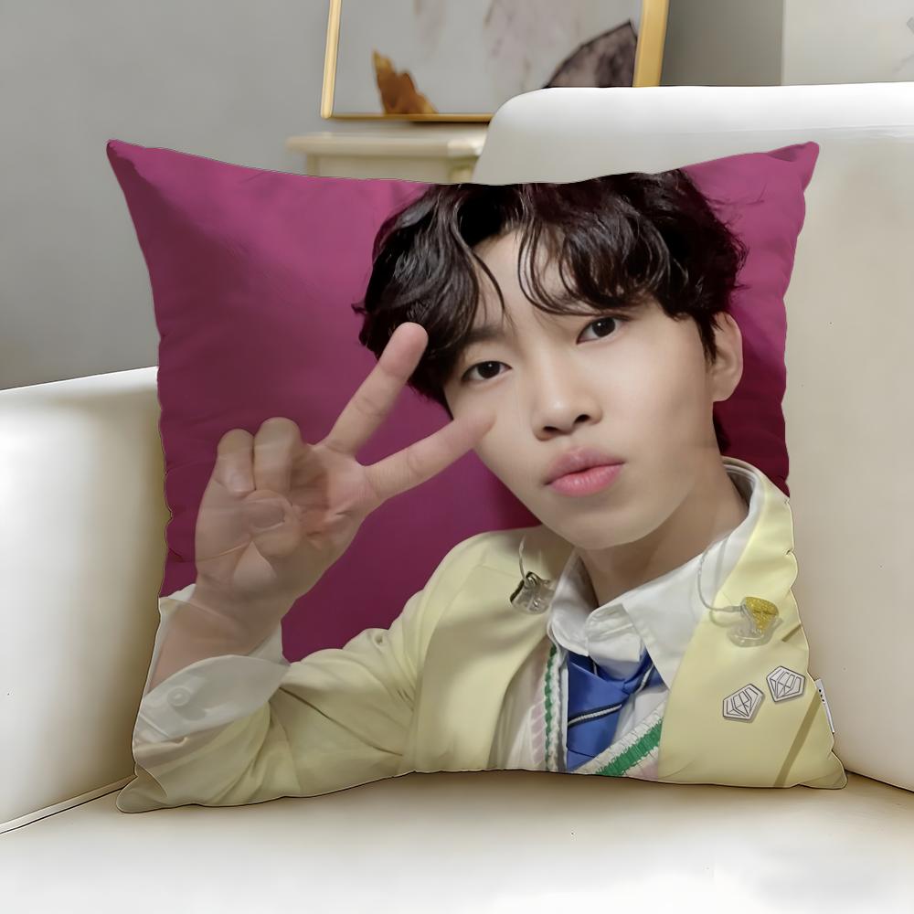 popular singer Lim Young Woong Cushion Cover Soft & Easy-Wash Pillow Case – Versatile for Couch, Bed, Travel and Office