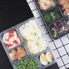 Disposable 5-Compartment Meal Box with Lid