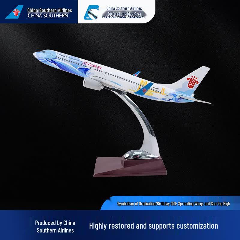 China Southern B-737 Prototype Aircraft Model