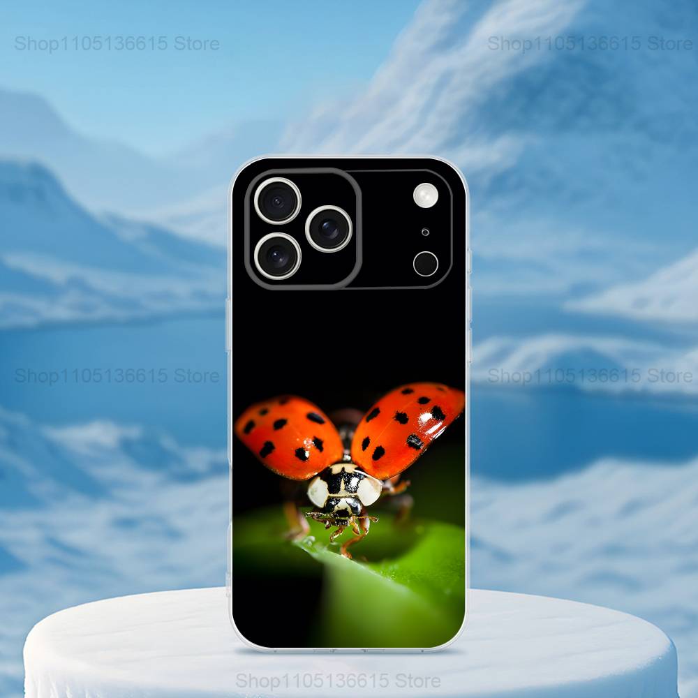 Cute Insect Ladybug For iPhone Max,14,SE,12,15,Pro,17,Plus,11,XS,Mini,16,X,13,XR,Transparent Soft Cover Case