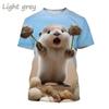Summer 3D Printing Cute Animal Eurasian River Otte T Shirt Lutra Lutra Graphic T-shirts For Men Fashion Funny Tee Shirts