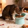 Cat Ear Elevated Slanted Pet Bowl - Cervical Protection Anti-tip Wide-mouth Feeder for Cats Dogs, for Daily Feeding