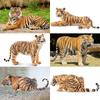 TOYMANY 6-Piece Tiger Figure Set, Animal Figures, Tiger Toys, Wild Animal Models, Parent-Child Friendly, Home Decor, Realistic Models, Popular Toys,
