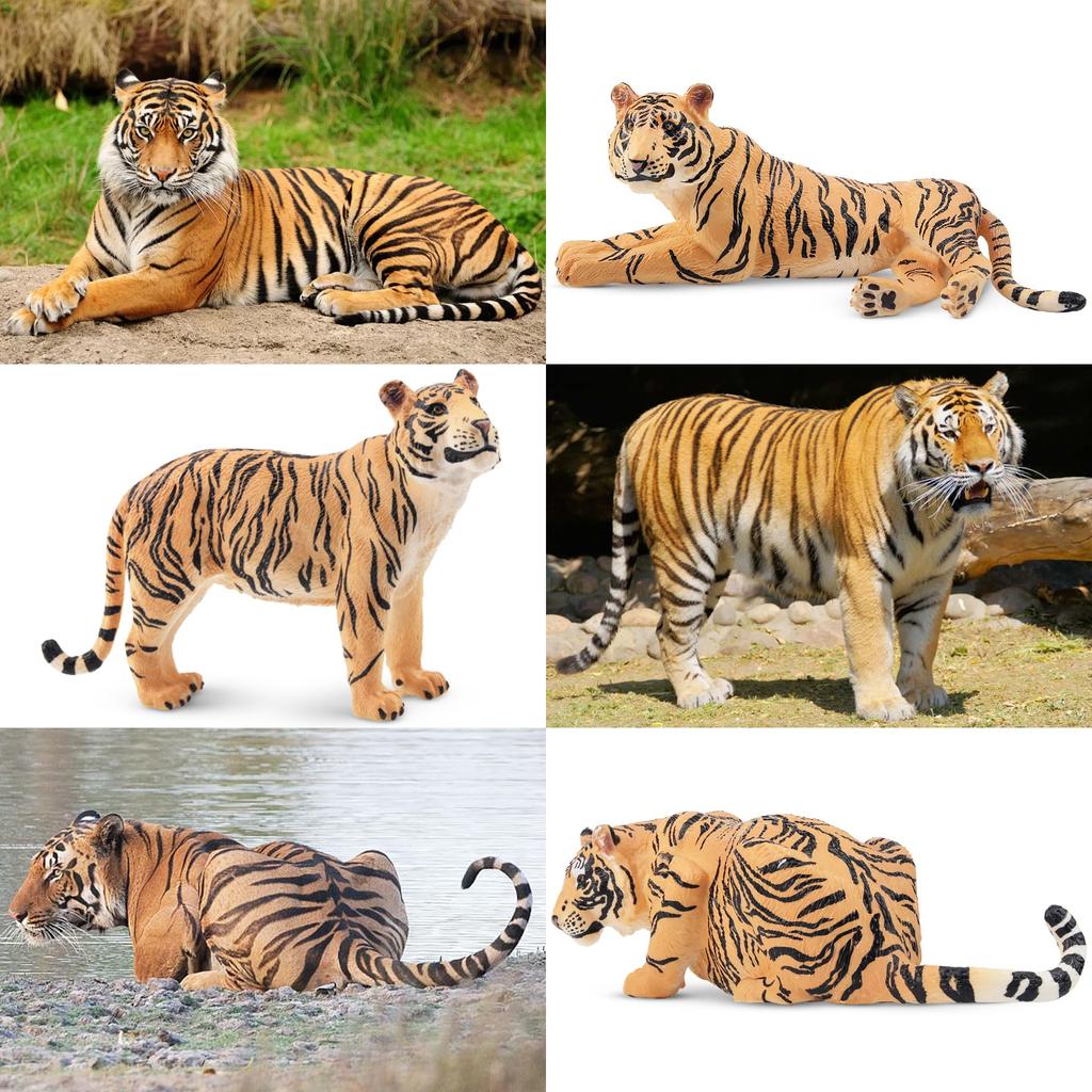 TOYMANY 6-Piece Tiger Figure Set, Animal Figures, Tiger Toys, Wild Animal Models, Parent-Child Friendly, Home Decor, Realistic Models, Popular Toys,