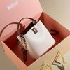 2025 New Fashion Women's Crossbody Bucket Bag - Summer Niche Single Shoulder Handbag