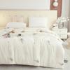 Tang Na 3A Antibacterial Warm Duvet