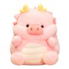 Kawaii Funny Pig & Dragon Plush Toy Stuffed Soft Animal Piggy Doll Throw Pillow Cushion Funny Birthday Xmas Gift for Friends