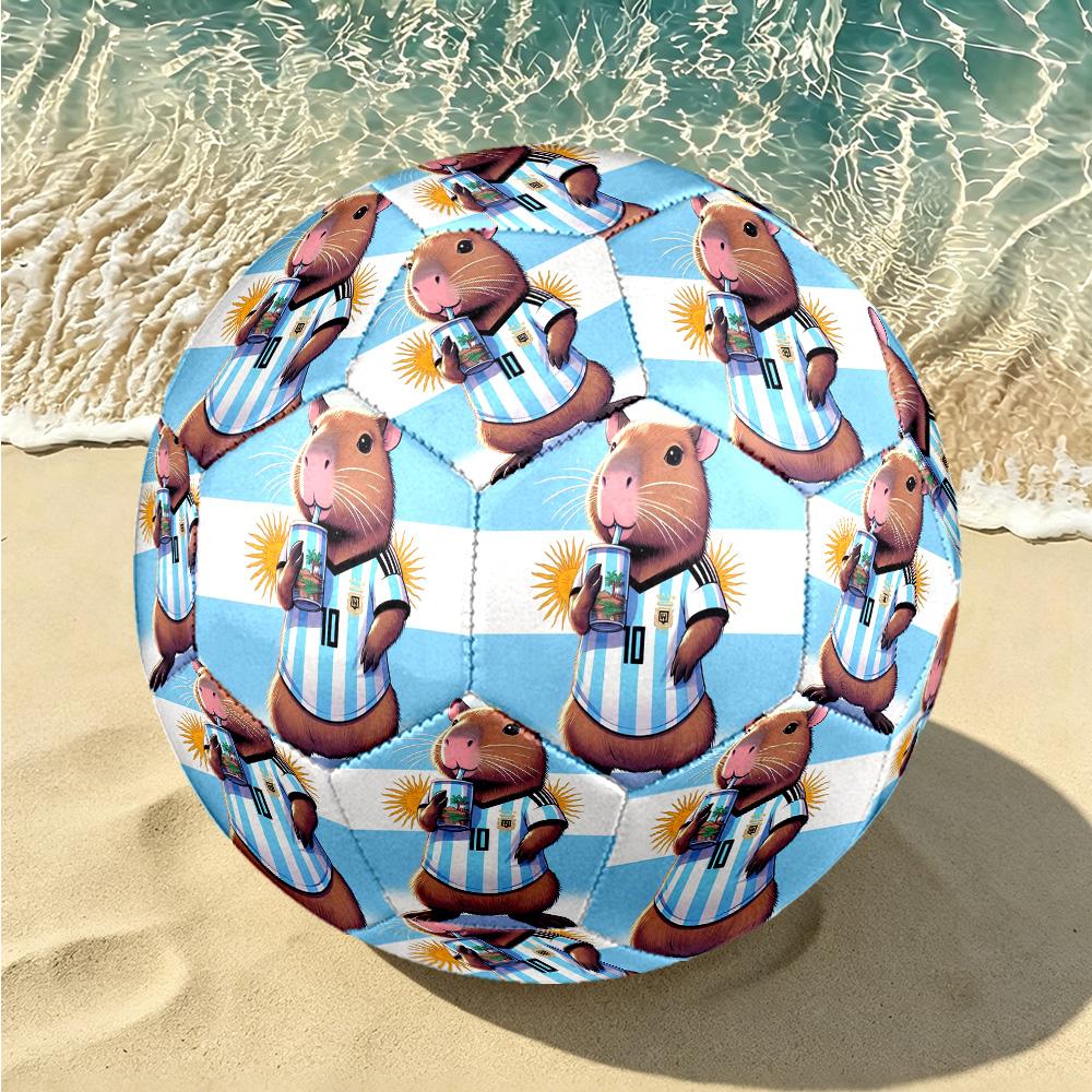 1 pallone da calcio Argentina Celebration Taglia 5, Adatto per partite di allenamento/allenamenti per tornei, Leggero e resistente gt70720