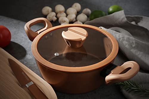 PEARL METAL VISIONS Stew/Curry Pot, 24cm, IH Compatible, with Glass Lid, Gold Coating, CP-8810