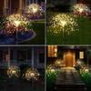 Solar Garden Lamp, Dandelion, Firework, . For The Garden, Christmas