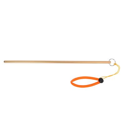 Scuba Diving Aluminum Alloy Tickle Pointer Stick with Measurement & Lanyard(Golden)