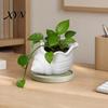 Playful Design Flowerpot 3D Printed Conch Flower Pot, Moisture-Resistant Mini Planter with Wavy Edge And Moisture-resistant Drain Hole Design,