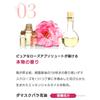 Steam Rose Absolute Bottle 300g in STEAMCREAM Moisturizing Cream for Whole Body Body Cream Hand Cream Oatmeal Rose [Official Cream] [Made Japan]