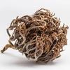 Rose of Jericho 200g – Chajarat Mariam Natural Resurrection Plant – Fertility, Conception & Prosperity – Energy Cleansing Flower