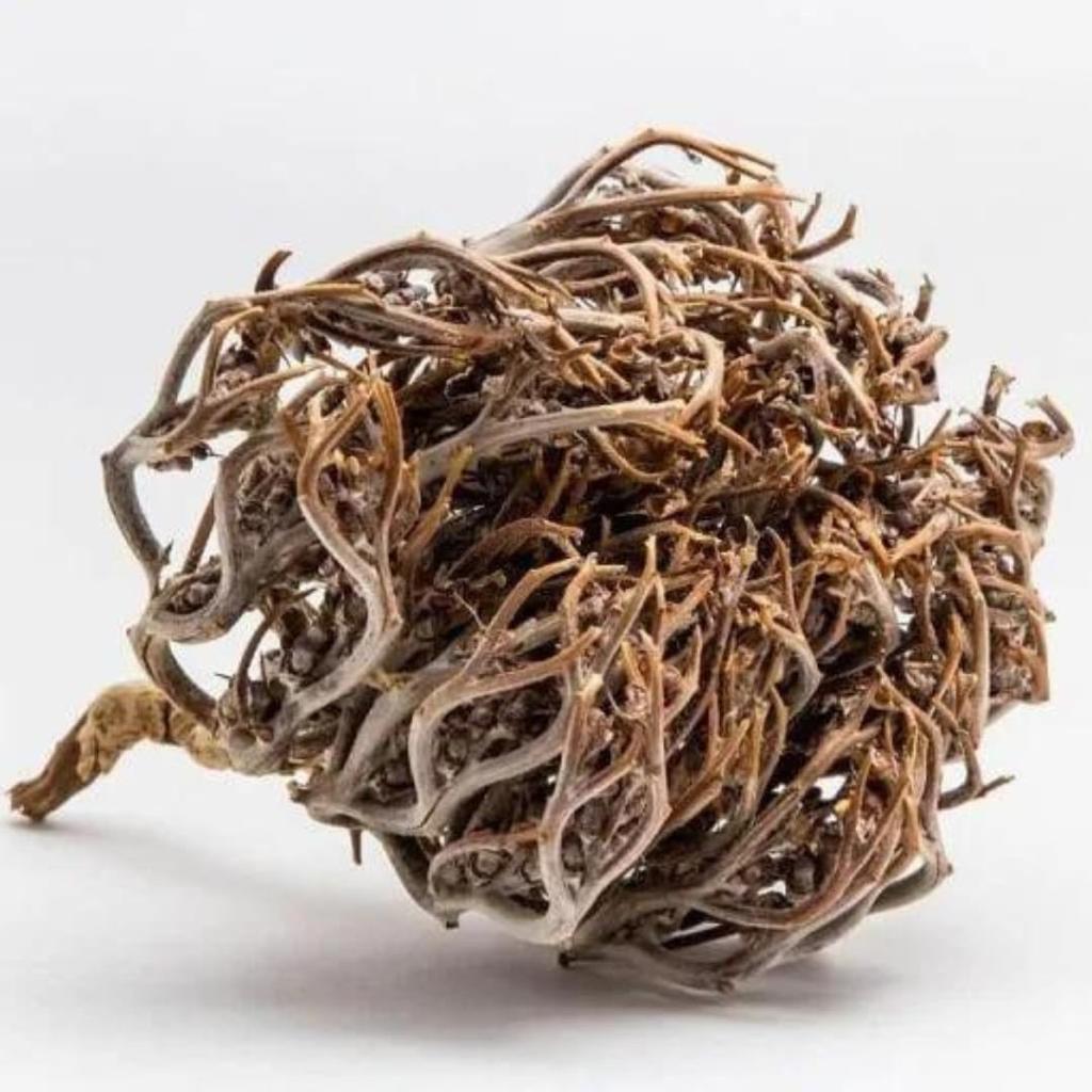 Rose of Jericho 200g – Chajarat Mariam Natural Resurrection Plant – Fertility, Conception & Prosperity – Energy Cleansing Flower