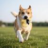 Pet Toy, Pet Plush Cotton Rope Chew Toy, Fun Interactive Dog Toys, Dog Chew Toys