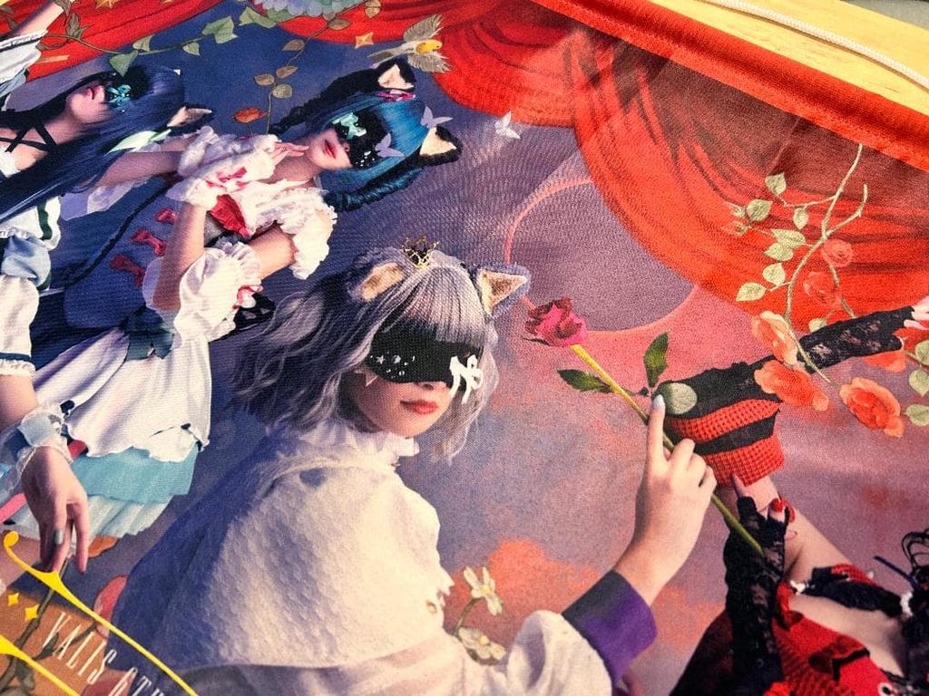 [USED] VALIS B2 Tapestry Applause Curtain Call Live Bonus Kamitsubaki