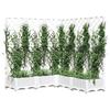 VidaXL Jardinière avec treillis Blanc 120x120x121,5 cm PP 153287