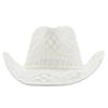 Wide Brim Western Cowboy Hat Sun Protection Jazz Hat Fashion Straw Cap Outdoor