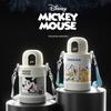 Germ Mickey Smart Kids Isolierflasche