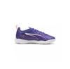 Puma Futsal Shoes 107910