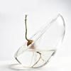 Avocado Seed Starter Vase Transparent Avocado-Shaped Plant Growth Glass Hydroponic Vase Seed Growing Kit For Gardening Lovers