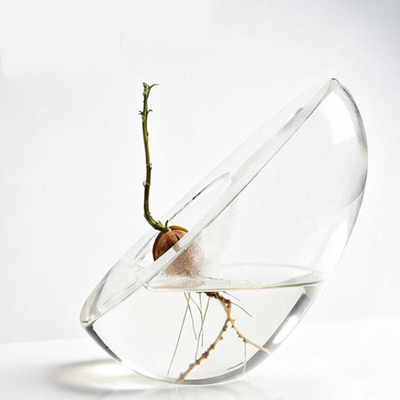 Avocado Seed Starter Vase Transparent Avocado-Shaped Plant Growth Glass Hydroponic Vase Seed Growing Kit For Gardening Lovers