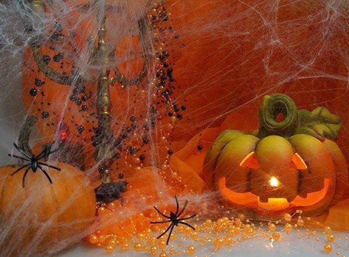 Halloween Decorative Spiderweb + Spiders, White, 60g