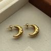 Light luxury minimalist classic metal crescent moon stud earrings niche exquisite earrings women's high sense fashion personality versatile earrings
