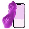 Tragbare Höschen-APP-Vibratoren Sexspielzeug für Erwachsene für Frauen Klitoris Mini-Ei-Kugel Schmetterlingsvibratoren G-Punkt-Dildo Vaginalstimulator Tragbarer Masturbator
