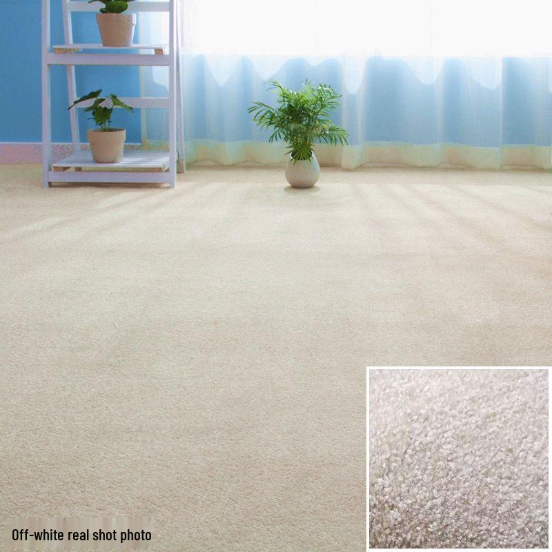 Fire-Retardant Carpet for Offices, Gyms, Stairs, Yoga Rooms, Studios, and Stages