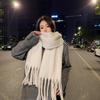 New Mohair Solid Color Scarf Women's Winter Warm Scarf Macaron Color Thickened Thick Braid Tassel Shawl