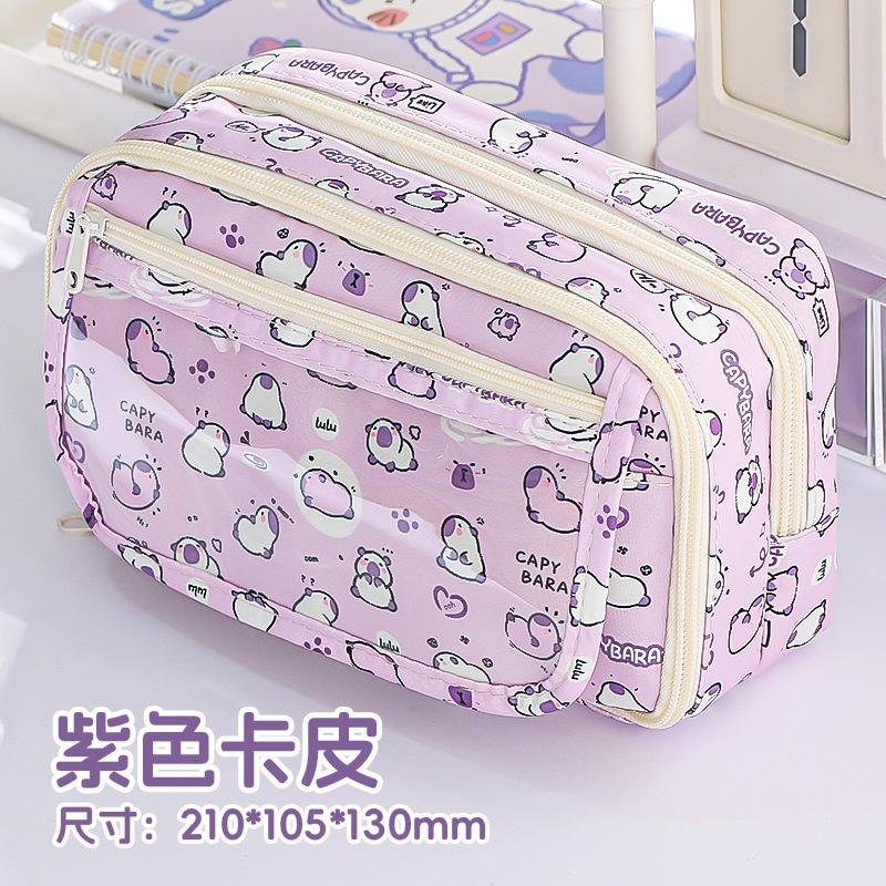 Estojo para meninas, estudantes do ensino fundamental, meninas, estojo de papelaria de alto valor e grande capacidade, estojo para meninas do ensino fundamental