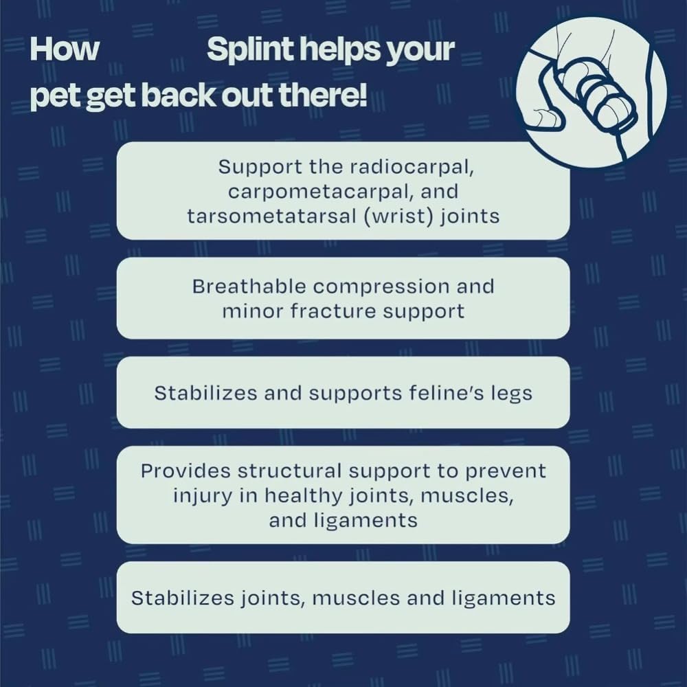 Verstellbare Katzenbeinbandage mit abnehmbarer Schiene – Für Karpal-/Tarsalverletzungen, Verstauchungen & Brüche – Vorder- oder Hinterbeine