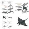 Realistisches Miniatur Delfin Teufelsrochen Beluga Wal Walhai Modell Ozeantier Spielzeug Sammlung